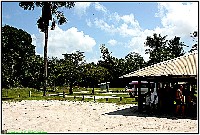 Plonsen - nr. 0062